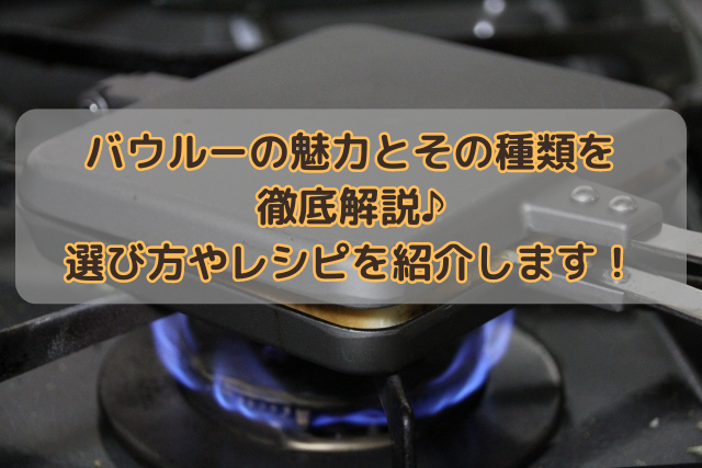 バウルーの魅力とその種類を徹底解説♪選び方やレシピを紹介します！