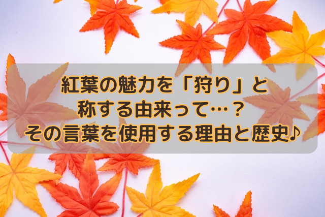 紅葉の魅力を「狩り」と称する由来って…？その言葉を使用する理由と歴史♪