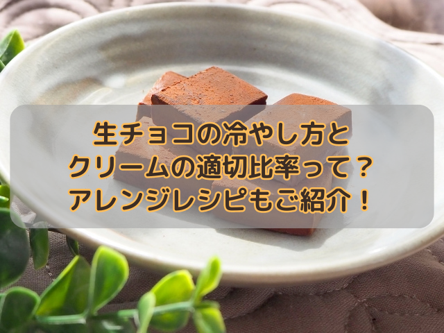 生チョコの冷やし方とクリームの適切比率って？アレンジレシピもご紹介！