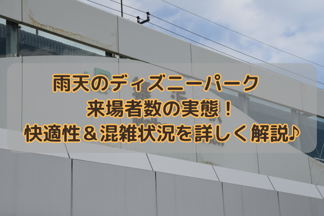 雨天のディズニーパーク来場者数の実態！快適性＆混雑状況を詳しく解説♪