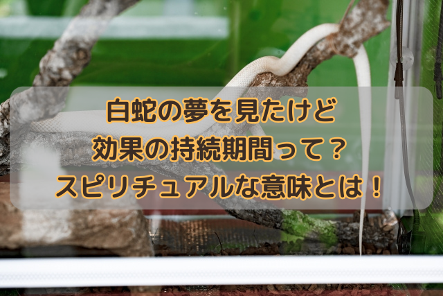 白蛇の夢を見たけど効果の持続期間って？スピリチュアルな意味とは！